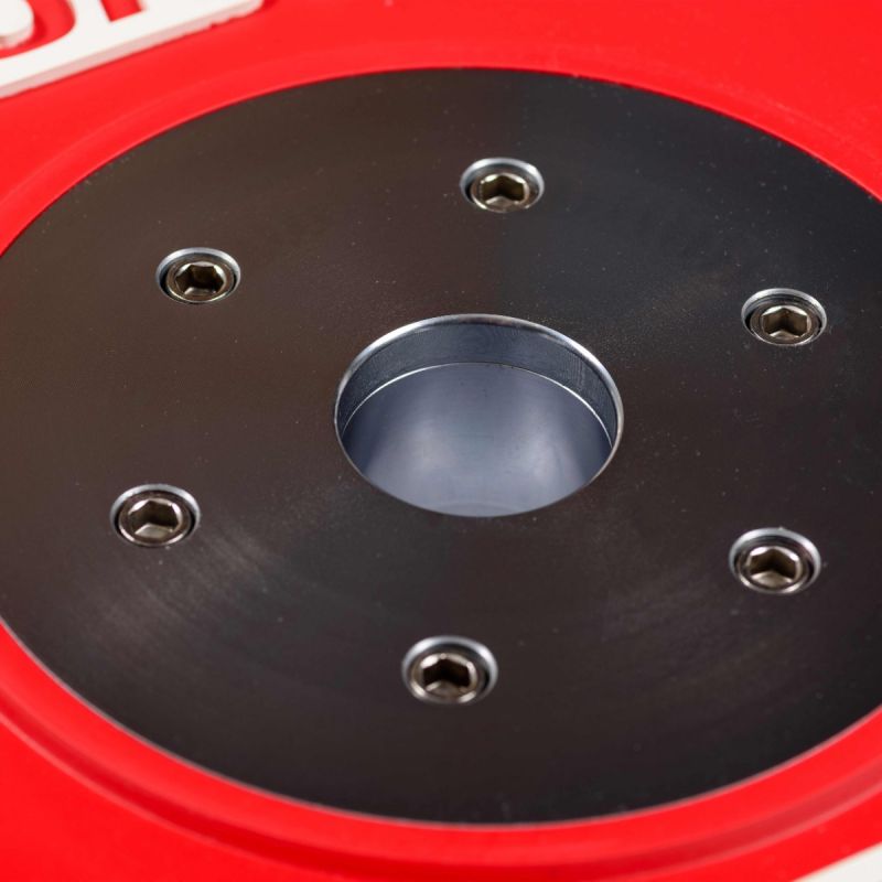 Диск профессиональный обрезиненный HARD цветной D51 мм PROFI-FIT 25 кг