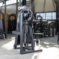 A2005 Дельт-машина. Стек 100 кг