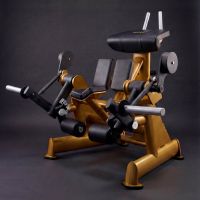 T953 Независимое сгибание ног стоя